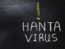 Belajar dari COVID: Jangan Menunggu Hantavirus Meledak
