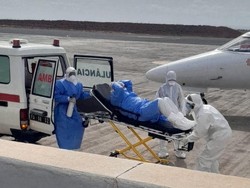 Sosok Patient Zero yang Diduga Bawa Wabah Hantavirus di MV Hondius Ternyata Pengamat Burung