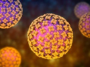 Video Riwayat Perjalanan Dua Kasus Pertama Terkait Hantavirus di Kapal Hondius