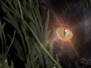MEOVV Siap Comeback dengan Konsep Dark-Horror