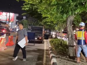 2.886 Pohon di Medan Ditebang untuk Pembangunan Koridor BRT Mebidang