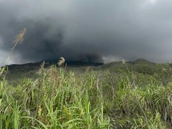 Mencekam Detik-detik Erupsi Gunung Dukono Tewaskan Pendaki
