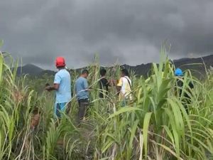 14 Pendaki Selamat dari Erupsi Gunung Dukono, 7 WNI dan 7 WNA