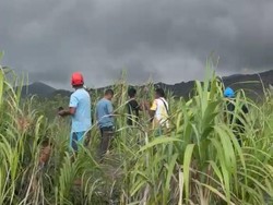 14 Pendaki Selamat dari Erupsi Gunung Dukono, 7 WNI dan 7 WNA