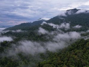 Pegunungan Liangpran, Satu Puncak Tertinggi di Kalimantan Ada di Kaltim