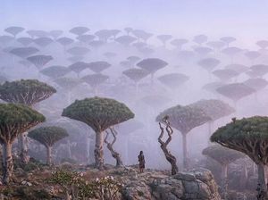 15 Foto yang Bikin Kamu Ngira Ini Planet Lain, Padahal Masih di Bumi