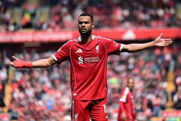 Liverpool Ogah Lepas Cody Gakpo