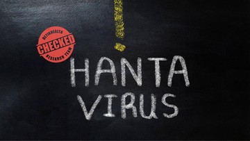 Apa Itu Andes Virus? Marak Dikaitkan dengan Ancaman Pandemi Hantavirus
