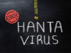Apa Itu Andes Virus? Marak Dikaitkan dengan Ancaman Pandemi Hantavirus