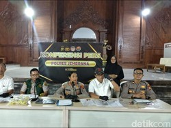 Polisi Bongkar Sindikat Dokumen Sapi Palsu di Gilimanuk, 2 Pelaku Ditangkap