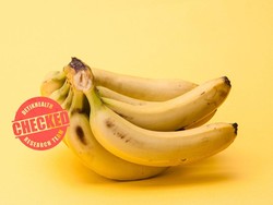 7 Manfaat Pisang, Kontrol Berat Badan hingga Jaga Kesehatan Ginjal