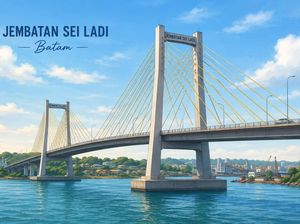 Ketua DPRD Kepri Unggah Video Motoran di Jembatan Sei Batam