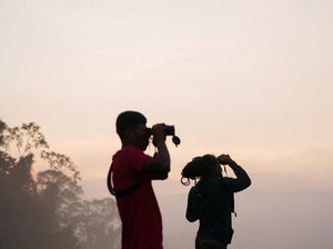 Menyusuri Hutan Panama, Pengamat Burung Ramaikan Global Big Day