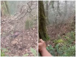 Pendaki Lansia Hilang di Gunung Batukaru Ditemukan Meninggal di Dasar Jurang