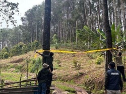 Pengusaha Bone Babat 1,3 Hektare Hutan Pinus Jadi Perkebunan-Peternakan Ayam