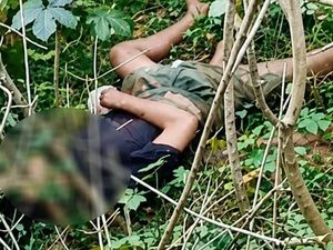 Pria Tewas di Semak-semak Bima Ternyata Dibunuh, 5 Pelaku Ditangkap