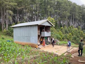 Awal Mula Terungkap Pengusaha Babat 1,3 Hektare Hutan di Bone Jadi Peternakan