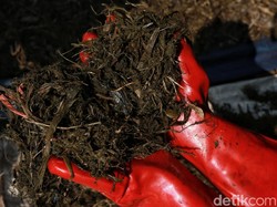 Ratusan Ribu Compost Bag Ditargetkan Tangani 60% Sampah Organik Badung
