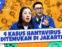 4 Kasus Hantavirus Ditemukan di Jakarta
