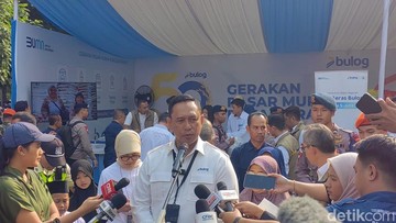 Bulog Serap Hampir 300 Ribu Ton Jagung, Diklaim Tertinggi Sepanjang Sejarah