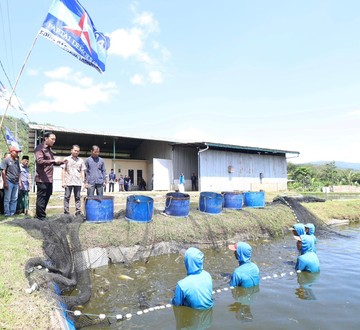 Ibas Nilai Budidaya Ikan Patin Trenggalek Penting dalam Rantai Pasok MBG