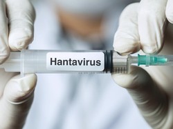 Waspada Hantavirus, Kemenkes Terapkan Skrining Gejala untuk Pelaku Perjalanan LN