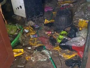 Video: Viral Rumah Kontrakan di Bekasi Penuh Sampah dan Bangkai Kucing