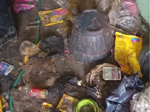 Rangkuman Lengkap Horor Puluhan Bangkai Kucing di Kontrakan Bekasi