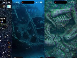 Viral Makhluk Mirip Alien di Crystal Bay Nusa Penida, Ini Faktanya