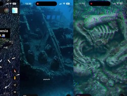 Viral Makhluk Mirip Alien di Crystal Bay Nusa Penida, Ini Faktanya