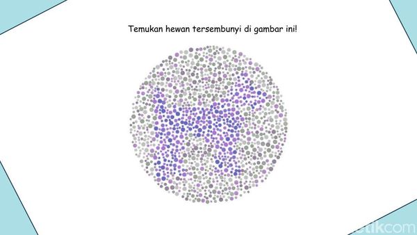 Kalau Tidak Buta Warna, Pasti Mudah Tebak Hewan yang Sembunyi di Pola Random Ini