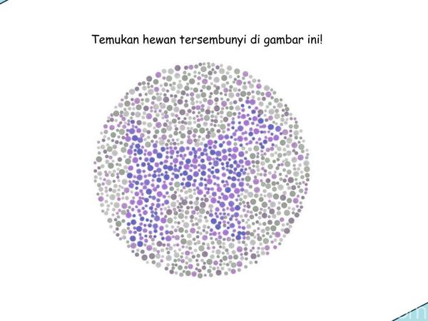 Kalau Tidak Buta Warna, Pasti Mudah Tebak Hewan yang Sembunyi di Pola Random Ini