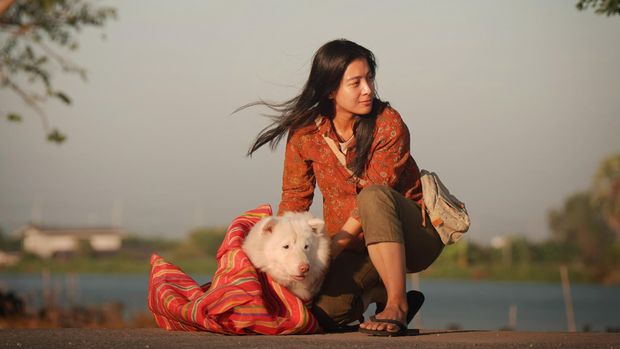 Film Thailand Gohan (2026). (GDH 559 Co., Ltd.)