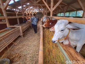 Jelang Idul Adha, Jalur Masuk Hewan Ternak Diperketat di Nagreg
