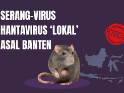 Mengenal Serang Virus, Hantavirus Lokal RI yang Ditemukan di Banten
