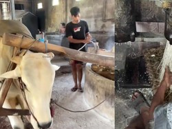 Dikira di India, Ternyata Bantul! Begini Proses Bikin Mie Lethek yang Viral