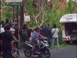 Geger! Mayat Tanpa Identitas Membusuk di Lahan Kosong Darmasaba Badung
