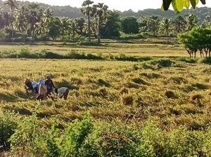 Pertamina Ingatkan Petani-Nelayan di Amfoang Urus Rekomendasi jika Beli BBM