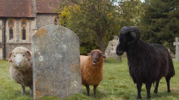 Film The Sheep Detectives (2026). (Amazon MGM Studios)