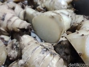 Mengenal Ganyol, Pangan Langka Sumedang yang Kaya Manfaat