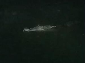 Geger Buaya 4 Meter Muncul di Bawah Jembatan Pampang Makassar