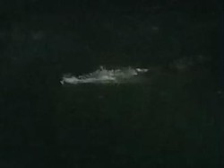 Geger Buaya 4 Meter Muncul di Bawah Jembatan Pampang Makassar