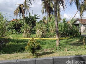 Penampakan Lokasi Temuan Mayat Membusuk di Darmasaba Badung