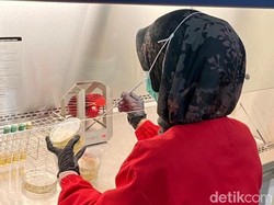 BPOM Temukan Bakteri E-coli di Menu MBG Siswa Lombok Timur yang Keracunan