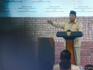 Prabowo: Pengusaha Mengeluh Mau Investasi Nunggu Izin 2 Tahun!