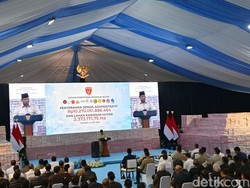 Prabowo Saksikan Penyerahan Tumpukan Denda Pelanggaran Kawasan Hutan Rp 10 T