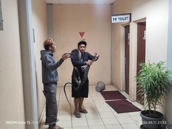 King Cobra 4 Meter Masuk Kantor BRIN di Tangsel, Evakuasinya Menegangkan