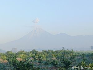 Semeru 4 Kali Erupsi, Abu Vulkanik Mencapai Ketinggian 1 Km