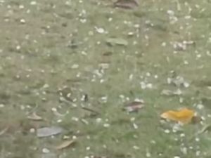Pandeglang Dilanda Cuaca Ekstrem: Hujan Es hingga Pohon Tumbang