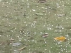 Pandeglang Dilanda Cuaca Ekstrem: Hujan Es hingga Pohon Tumbang